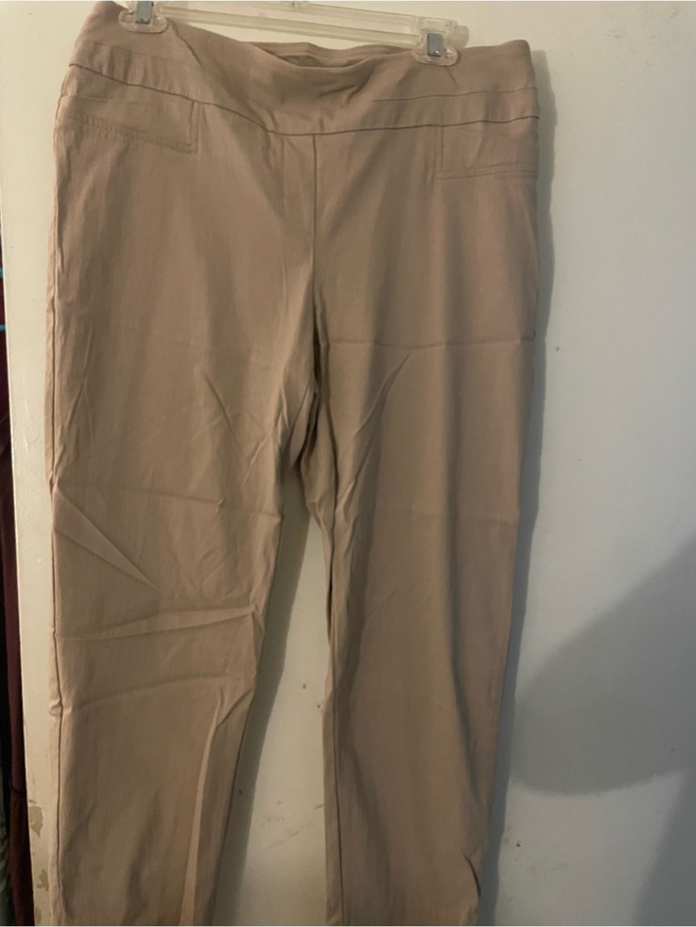 Zac & Rachel Lightweight Beige Pull-On Trousers